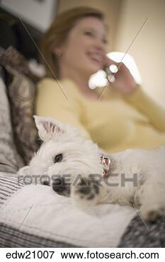 Picture - dog laying on 
bed with woman. 
fotosearch - search 
stock photos, 
pictures, images, 
and photo clipart