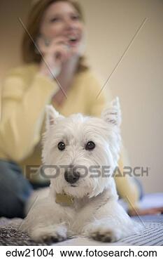 Stock Photo - dog and woman 
inside. fotosearch 
- search stock 
photos, pictures, 
images, and photo 
clipart