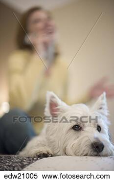 Stock Image - dog and woman 
inside. fotosearch 
- search stock 
photos, pictures, 
images, and photo 
clipart