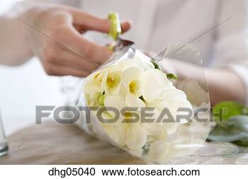 Stock Photography - food server cutting 
open bouquet of 
flowers. fotosearch 
- search stock 
photos, pictures, 
images, and photo 
clipart