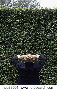 Stock Photography - frustrated businessman 
looking at hedge. 
fotosearch - search 
stock photos, 
pictures, images, 
and photo clipart