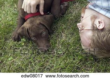 Picture - man and dog laying 
in grass. fotosearch 
- search stock 
photos, pictures, 
images, and photo 
clipart