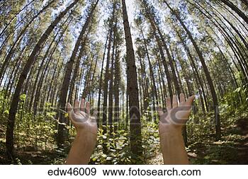 Stock Photograph - man holding hands 
out to forest. 
fotosearch - search 
stock photos, 
pictures, images, 
and photo clipart