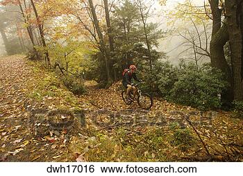 Stock Photo - man mountain biking 
in forest. fotosearch 
- search stock 
photos, pictures, 
images, and photo 
clipart