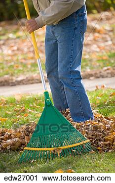 Stock Photography - man raking leaves 
in yard. fotosearch 
- search stock 
photos, pictures, 
images, and photo 
clipart