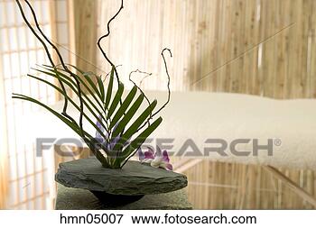 Picture - plant and rock 
decoration. fotosearch 
- search stock 
photos, pictures, 
images, and photo 
clipart
