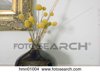 Stock Photo - plants in vase. 
fotosearch - search 
stock photos, 
pictures, images, 
and photo clipart