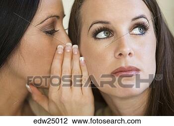 Stock Photo - young women gossiping. 
fotosearch - search 
stock photos, 
pictures, images, 
and photo clipart