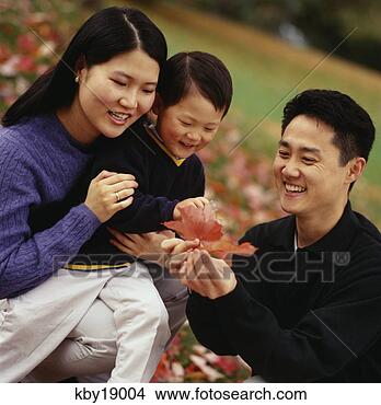Stock Photo - asian family examining 
autumn leaves. 
fotosearch - search 
stock photos, 
pictures, images, 
and photo clipart
