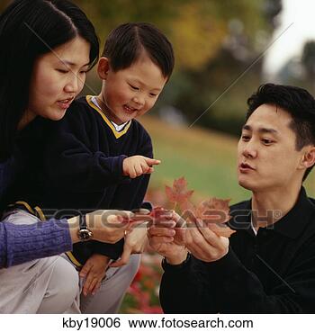 Stock Photo - asian family examining 
autumn leaves. 
fotosearch - search 
stock photos, 
pictures, images, 
and photo clipart