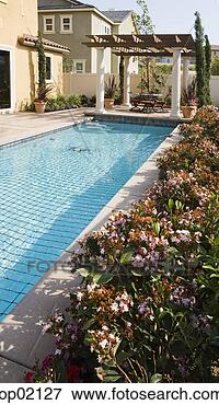 Picture - backyard swimming 
pool. fotosearch 
- search stock 
photos, pictures, 
images, and photo 
clipart