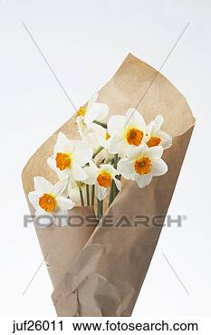 Stock Photography - bouquet of daffodils. 
fotosearch - search 
stock photos, 
pictures, images, 
and photo clipart