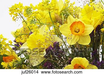 Stock Photo - bouquet of spring 
flowers. fotosearch 
- search stock 
photos, pictures, 
images, and photo 
clipart
