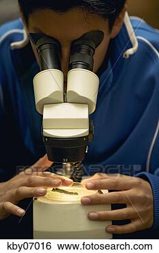Stock Photo - boy looking through 
microscope. fotosearch 
- search stock 
photos, pictures, 
images, and photo 
clipart