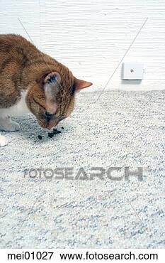 handjob while foot sniffing