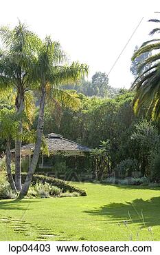Stock Photo - colrful plants 
in garden. fotosearch 
- search stock 
photos, pictures, 
images, and photo 
clipart