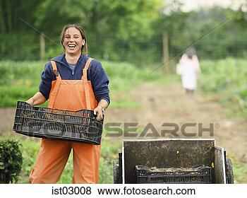 Stock Photo - female farmer 
stacking crates 
in garden. fotosearch 
- search stock 
photos, pictures, 
images, and photo 
clipart