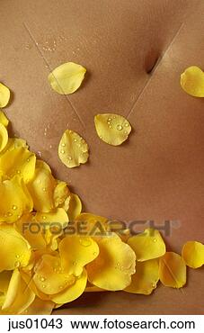 Stock Photo - flower petals 
on woman’s belly. 
fotosearch - search 
stock photos, 
pictures, images, 
and photo clipart
