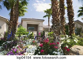 Stock Photo - front exterior 
of home with immense 
garden. fotosearch 
- search stock 
photos, pictures, 
images, and photo 
clipart