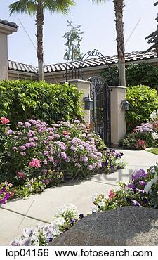 Stock Photo - front exterior 
of home with immense 
garden. fotosearch 
- search stock 
photos, pictures, 
images, and photo 
clipart
