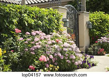 Picture - front gate of 
home surrounded 
by garden. fotosearch 
- search stock 
photos, pictures, 
images, and photo 
clipart