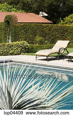 Stock Photograph - lounge chairs 
next to swimming 
pool. fotosearch 
- search stock 
photos, pictures, 
images, and photo 
clipart
