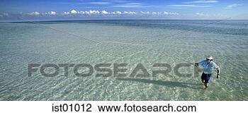 Stock Photo - man fly-fishing 
in ocean. fotosearch 
- search stock 
photos, pictures, 
images, and photo 
clipart