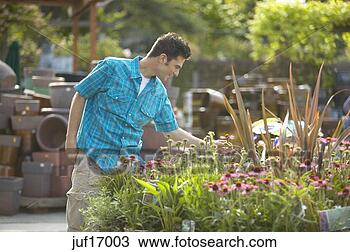Stock Photo - man looking at 
potted flowers. 
fotosearch - search 
stock photos, 
pictures, images, 
and photo clipart