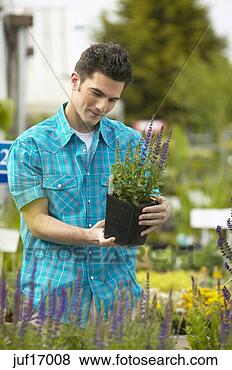 Stock Photo - man shopping at 
plant nursery. 
fotosearch - search 
stock photos, 
pictures, images, 
and photo clipart