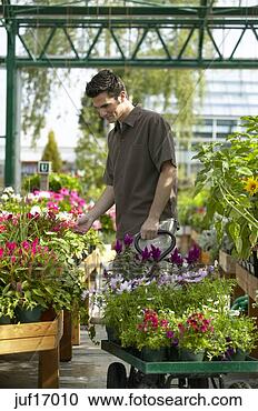 Stock Photography - man shopping at 
plant nursery. 
fotosearch - search 
stock photos, 
pictures, images, 
and photo clipart