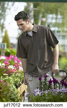 Stock Photo - man shopping at 
plant nursery. 
fotosearch - search 
stock photos, 
pictures, images, 
and photo clipart