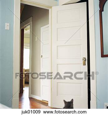 Stock Photograph - open doors in 
house. fotosearch 
- search stock 
photos, pictures, 
images, and photo 
clipart