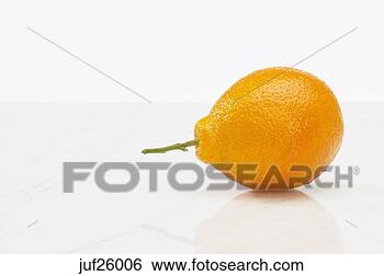 Stock Photo - orange with stem. 
fotosearch - search 
stock photos, 
pictures, images, 
and photo clipart