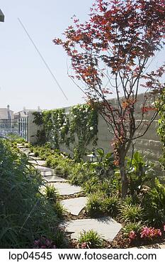 Stock Image - path in backyard 
garden. fotosearch 
- search stock 
photos, pictures, 
images, and photo 
clipart
