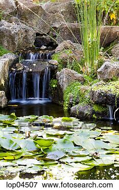 Picture - pond with waterfall 
and lily pads. 
fotosearch - search 
stock photos, 
pictures, images, 
and photo clipart