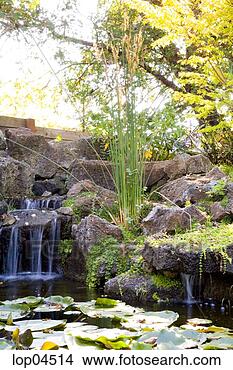 Stock Photo - pond with waterfall 
and lily pads. 
fotosearch - search 
stock photos, 
pictures, images, 
and photo clipart