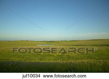 Stock Photo - rolling green 
landscape. fotosearch 
- search stock 
photos, pictures, 
images, and photo 
clipart