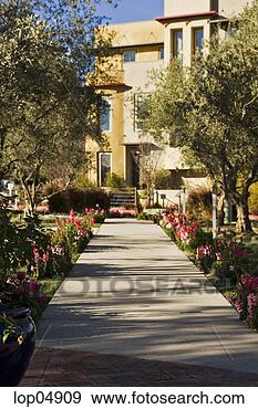 Stock Photograph - sidewalk surrounded 
by flowers and 
trees. fotosearch 
- search stock 
photos, pictures, 
images, and photo 
clipart