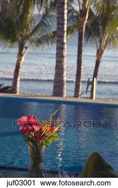 Stock Photography - vase of flowers 
beside swimming 
pool. fotosearch 
- search stock 
photos, pictures, 
images, and photo 
clipart