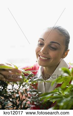 Picture - woman examining 
plants. fotosearch 
- search stock 
photos, pictures, 
images, and photo 
clipart