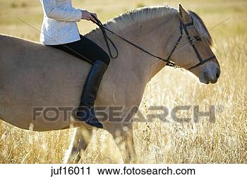 Stock Photography - woman riding a 
horse bareback. 
fotosearch - search 
stock photos, 
pictures, images, 
and photo clipart