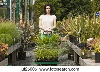 Stock Image - woman shopping 
at plant nursery. 
fotosearch - search 
stock photos, 
pictures, images, 
and photo clipart
