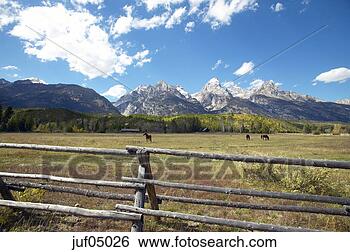 Stock Photo - wooden fence at 
horse ranch, grand 
tetons, wyoming, 
united states. 
fotosearch - search 
stock photos, 
pictures, images, 
and photo clipart