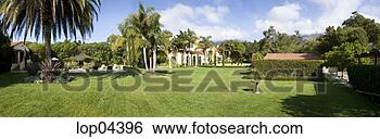 Stock Photo - yellow flower 
on tree. fotosearch 
- search stock 
photos, pictures, 
images, and photo 
clipart