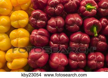 Stock Photo - yellow and red 
bell peppers for 
sale in grocery 
store. fotosearch 
- search stock 
photos, pictures, 
images, and photo 
clipart