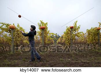 Picture - young girl tossing 
pumpkin in air 
and catching it. 
fotosearch - search 
stock photos, 
pictures, images, 
and photo clipart