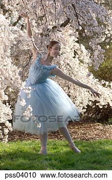 Stock Photography - ballerina under 
flowering tree. 
fotosearch - search 
stock photos, 
pictures, images, 
and photo clipart