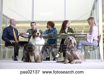 Picture - businesspeople 
in a meeting with 
dogs. fotosearch 
- search stock 
photos, pictures, 
images, and photo 
clipart