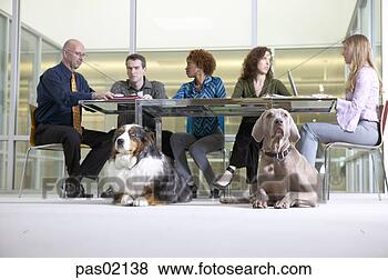 Pictures of Businesspeople in a meeting with dogs pas02138 - Search...