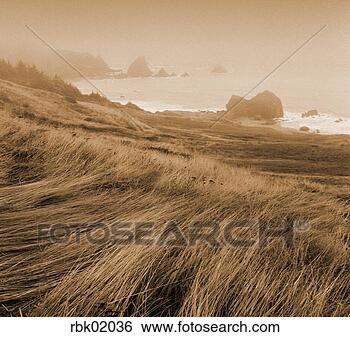 Stock Photo - grass hillside 
on rocky coastline. 
fotosearch - search 
stock photos, 
pictures, images, 
and photo clipart